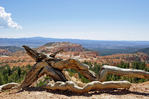 an unique view of Sunrise Point